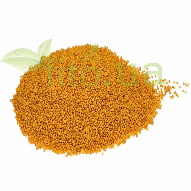 Гірчиця насіння 100 гр