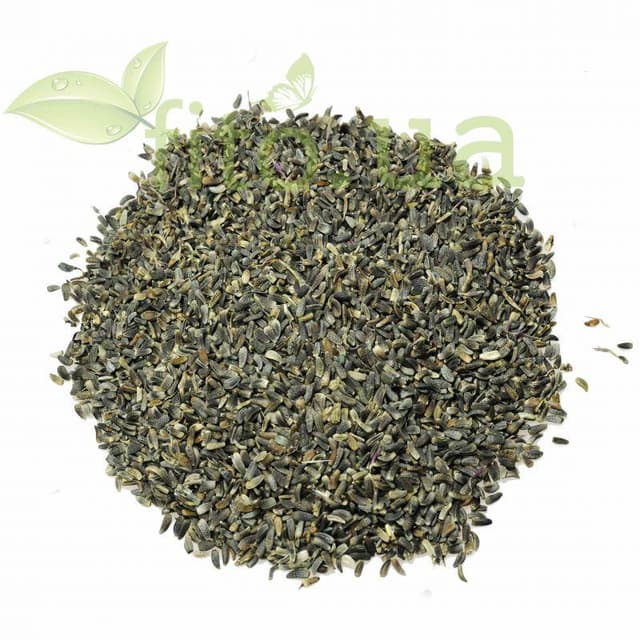 Лопух насіння 500 гр