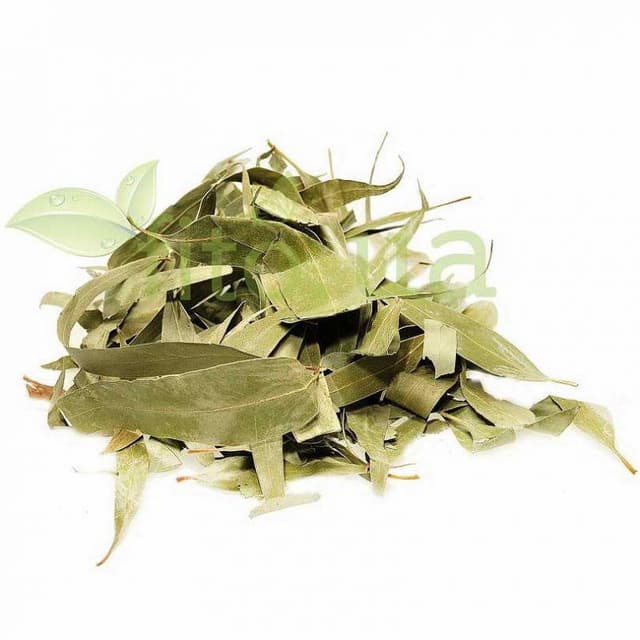 Евкаліпта листя 500 гр