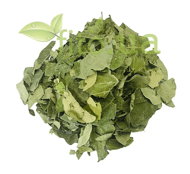 image-0