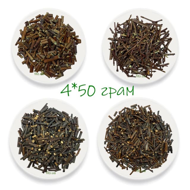 Фруктові гілочки мікс: малини, вишні, яблуні, сливи